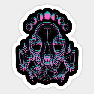 Skull Phases Sticker